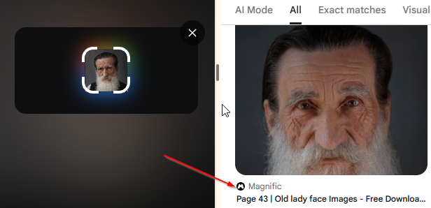 Google Lens exact match results showing a bestselling edition's author portrait sourced from the Magnific stock photo site